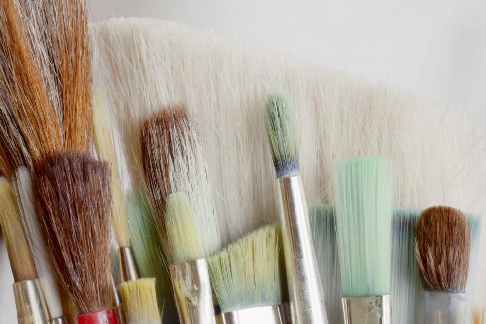 Washington, Seabeck Close-up of artists brushes